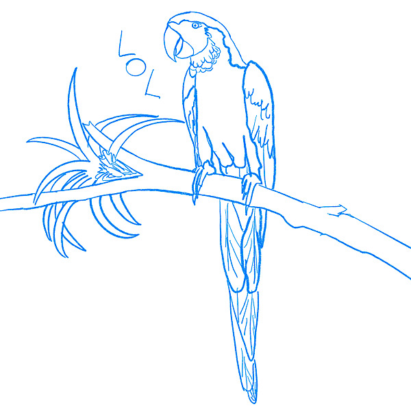 Croquis d’un perroquet sur une branche qui crie LOL