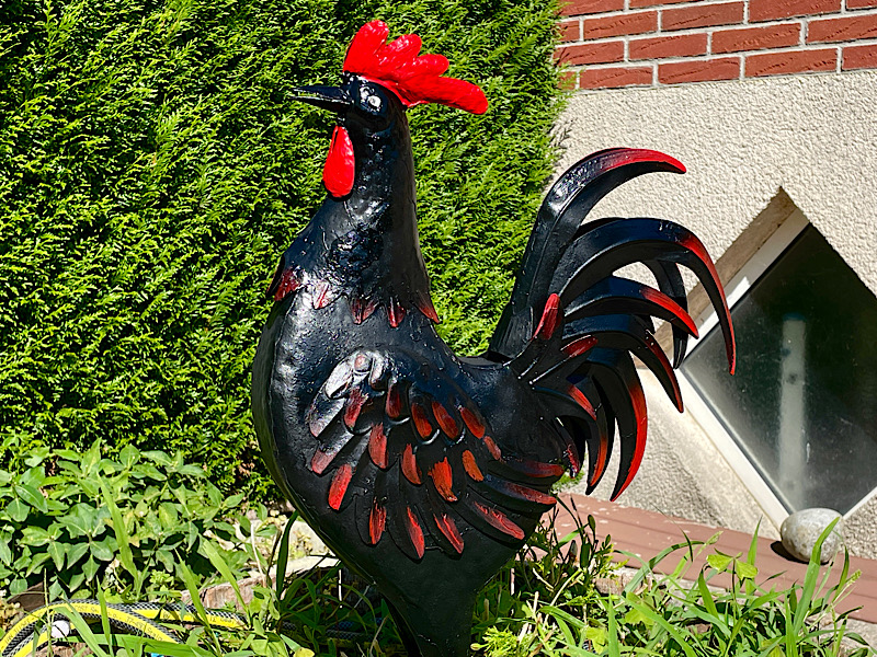 Un coq noir en fer forgé les pieds dans l’herbe du tonneau-jardinière devant la maison