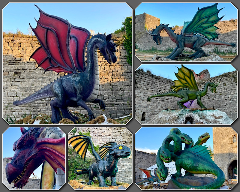 6 photos de dragons