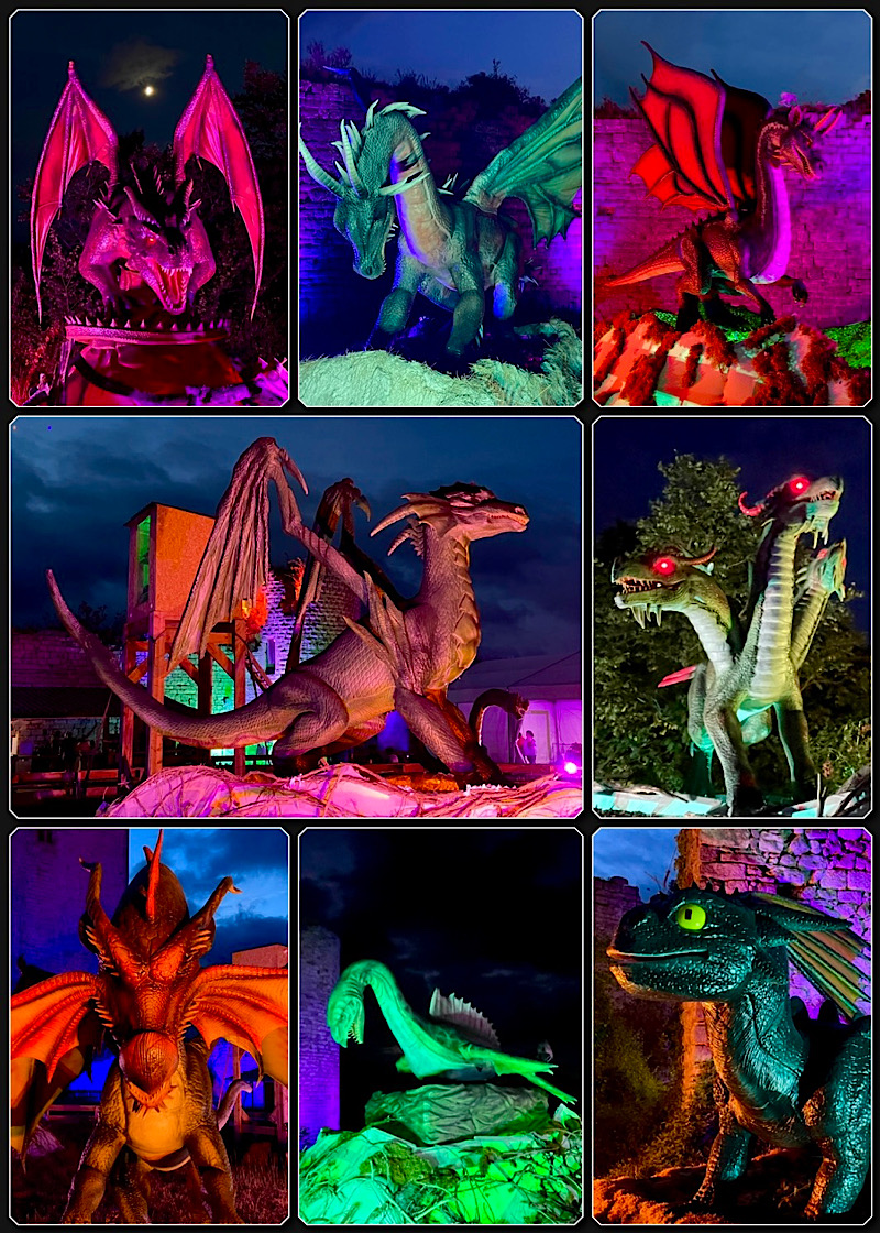 8 photos de dragons de nuit