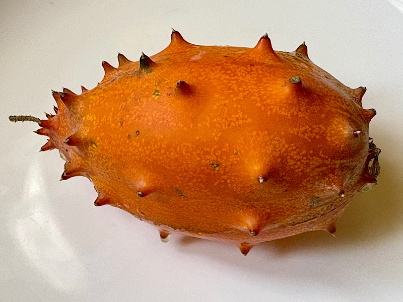 Un légume orange à piquants sur une assiette blanche