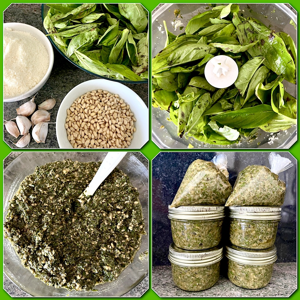 Préparation du pesto en 4 photos