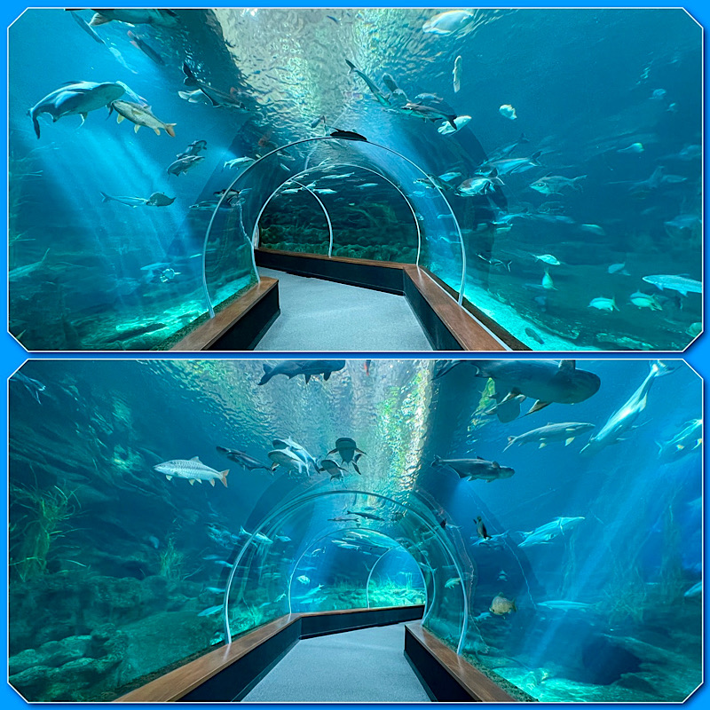 Deux photos de couloirs au milieu d’un aquarium